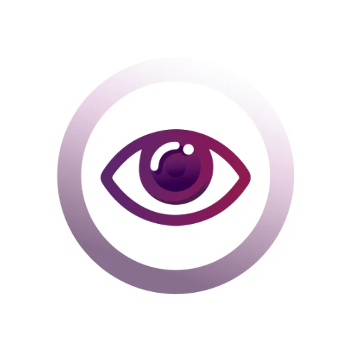 Vision